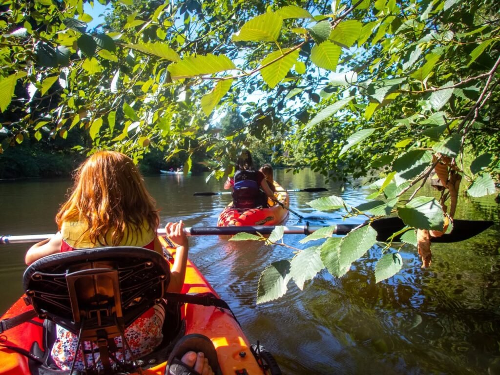 A view from a kayak looking down a serene river shaded by a dense green forest canopy.