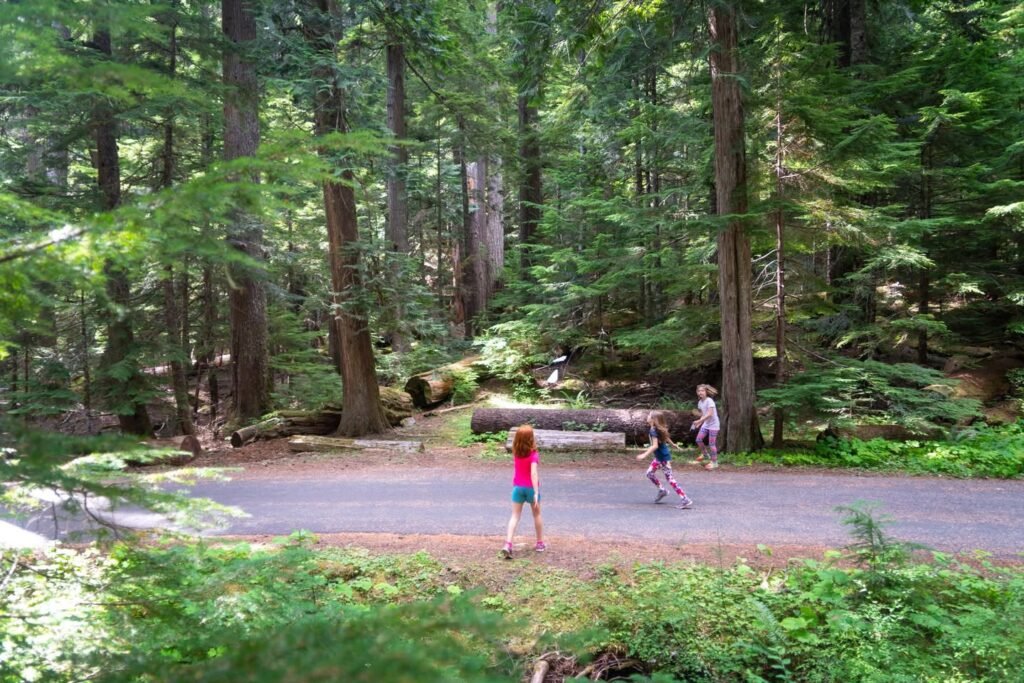 Children enjoying a sunny day outdoors on a park path surrounded by lush evergreen trees in the Pacific Northwest.