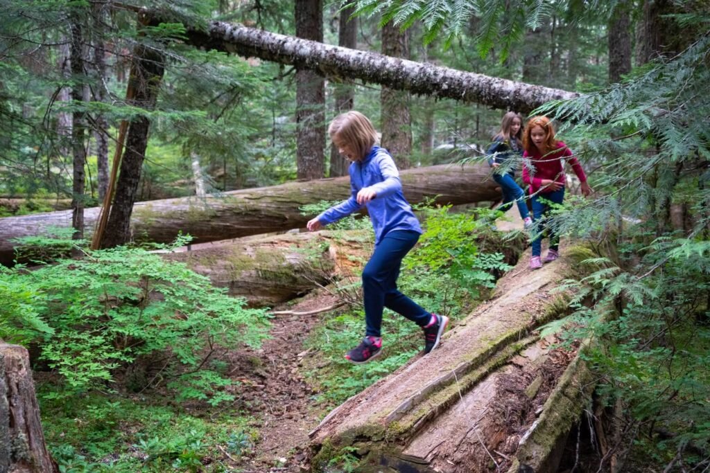 Hikers navigating fallen trees and lush greenery in a Pacific Northwest forest trail.