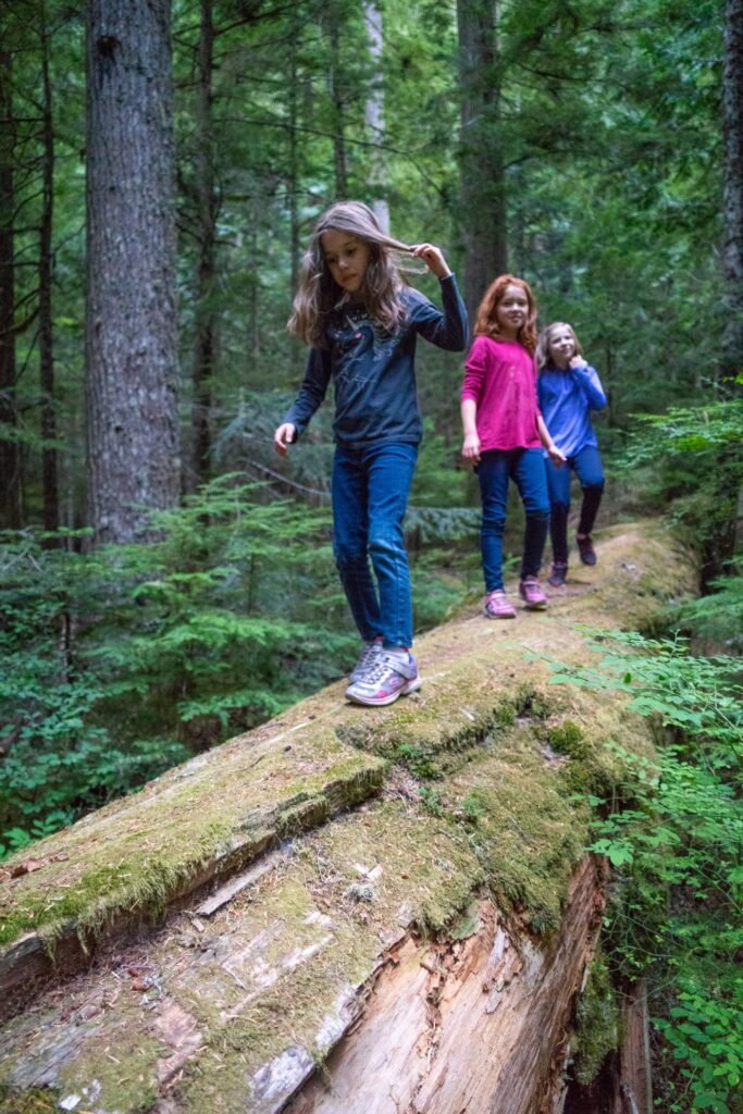 A family carefully balances on a large moss-covered fallen log in a lush green forest setting.