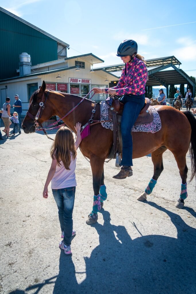 A rider on a brown horse interacts with a small child standing nearby in a sunny outdoor setting.