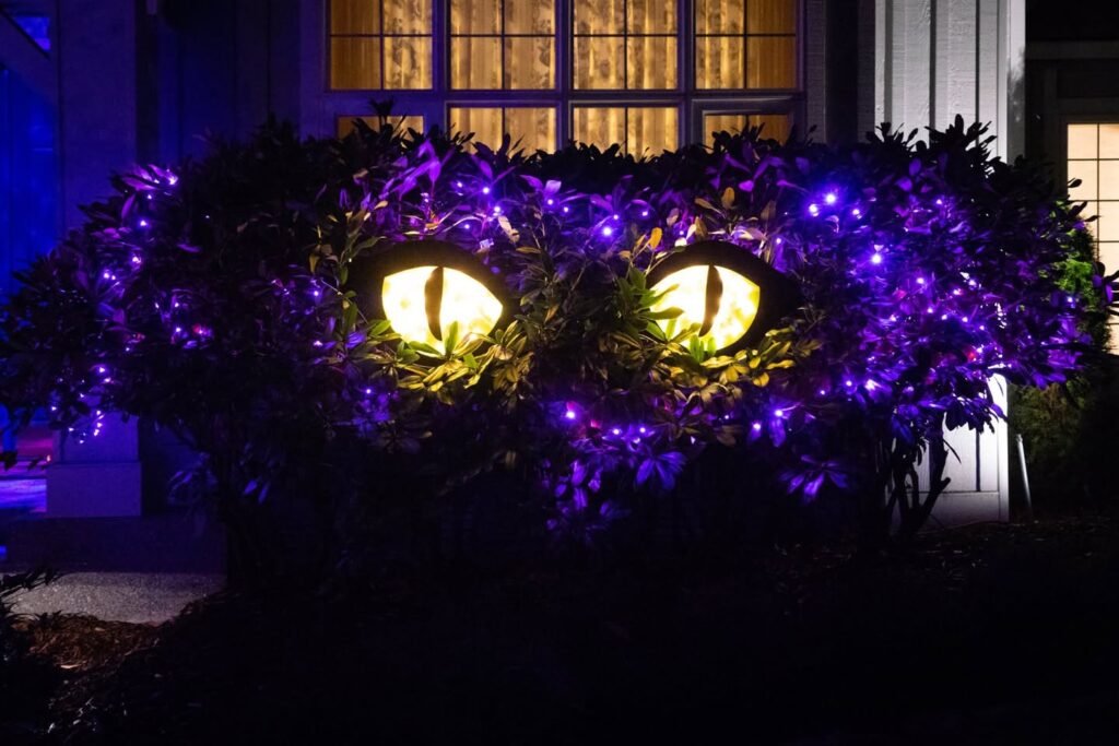 Bushes with purple foliage and lights along a path at night. Two glowing landscape lights placed evenly in the shrubs.