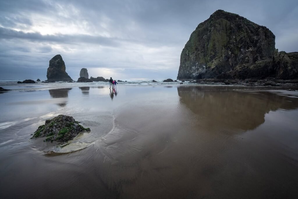 Misty coastal landscape with dramatic sea stacks reflecting on wet sand.