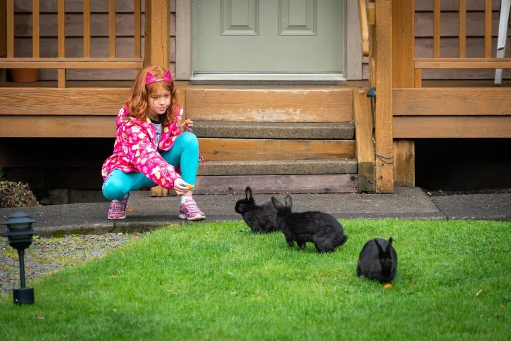 A young child in a pink jacket crouches on a green lawn interacting with three black rabbits near a log home porch.