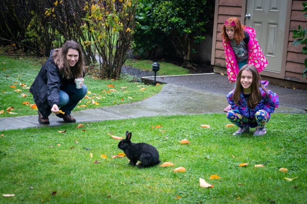 A black rabbit sits on a grassy lawn as three people crouch nearby to observe it. The scene takes place in a backyard with autumn leaves scattered around a concrete path.