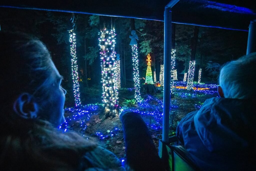 View of illuminated Christmas trees from a dark, cozy seating area. Silhouettes of people enjoying the festive holiday lights outdoors at night.