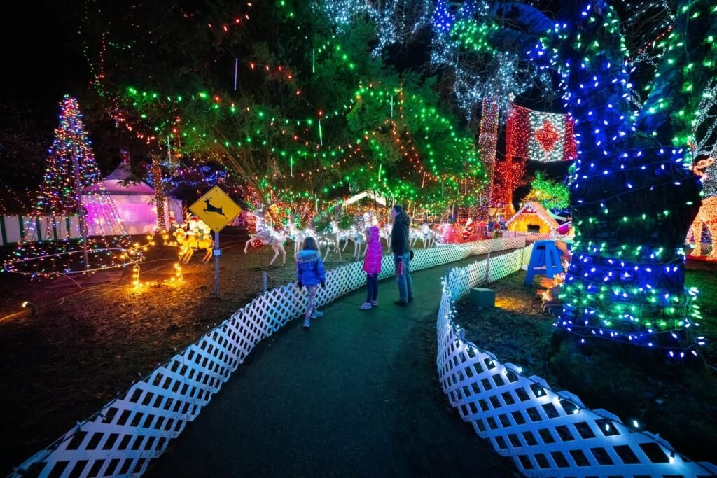 A vibrant Christmas light display featuring a winding path and illuminated trees along a fenced walkway.