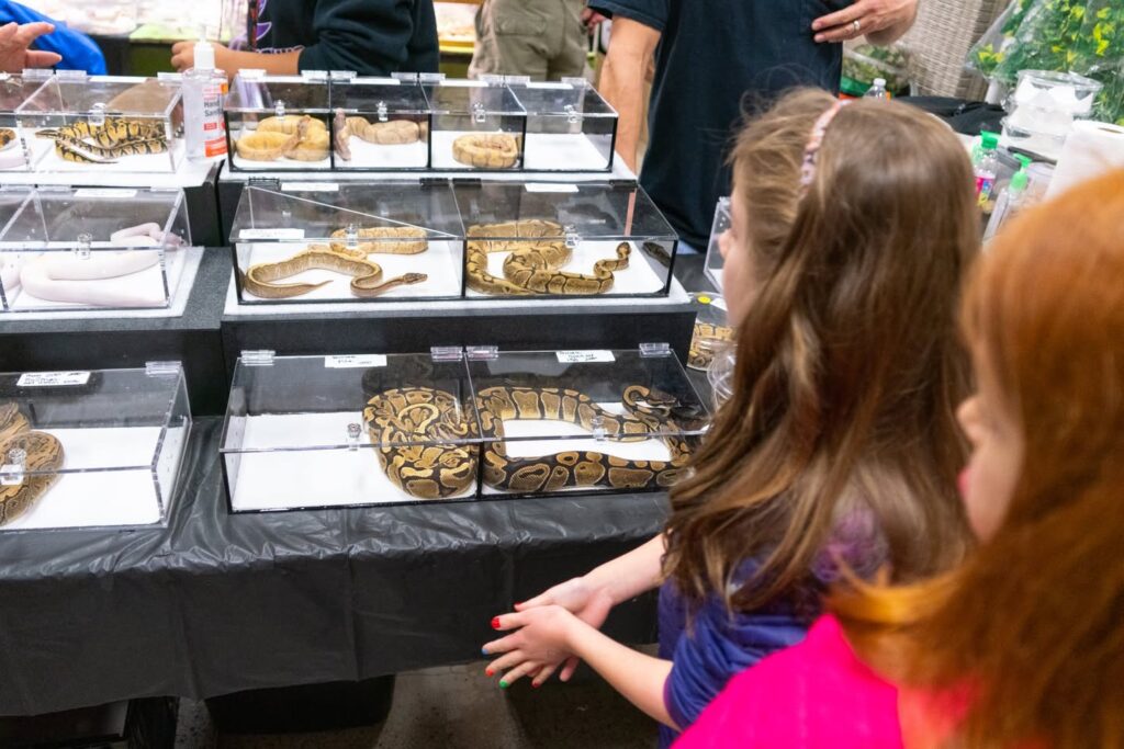 Children observe various snakes in glass enclosures at a local expo table.