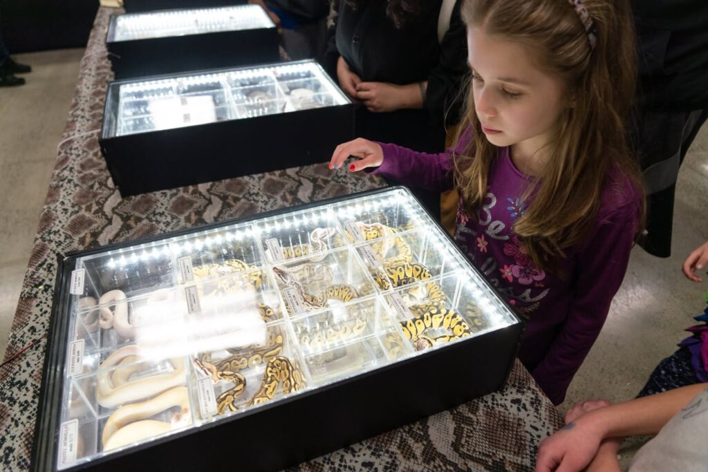 Visitors examine various pieces of jewelry displayed on a table at the Northview Retail Vendor Expo.