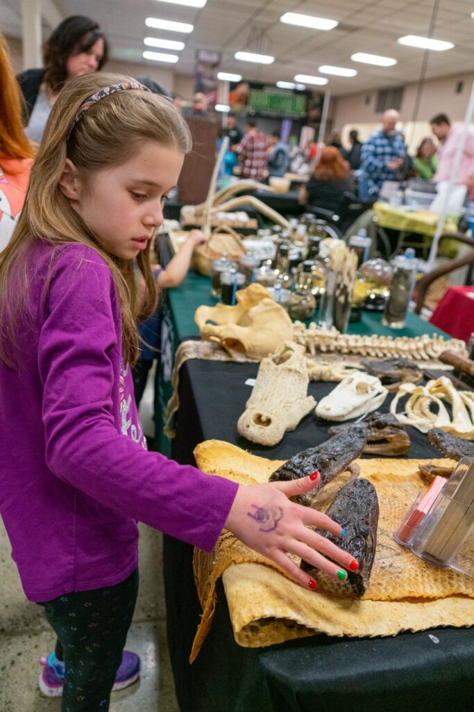 A young visitor in a purple shirt touches animal skeletons and anatomical models at an educational science fair.