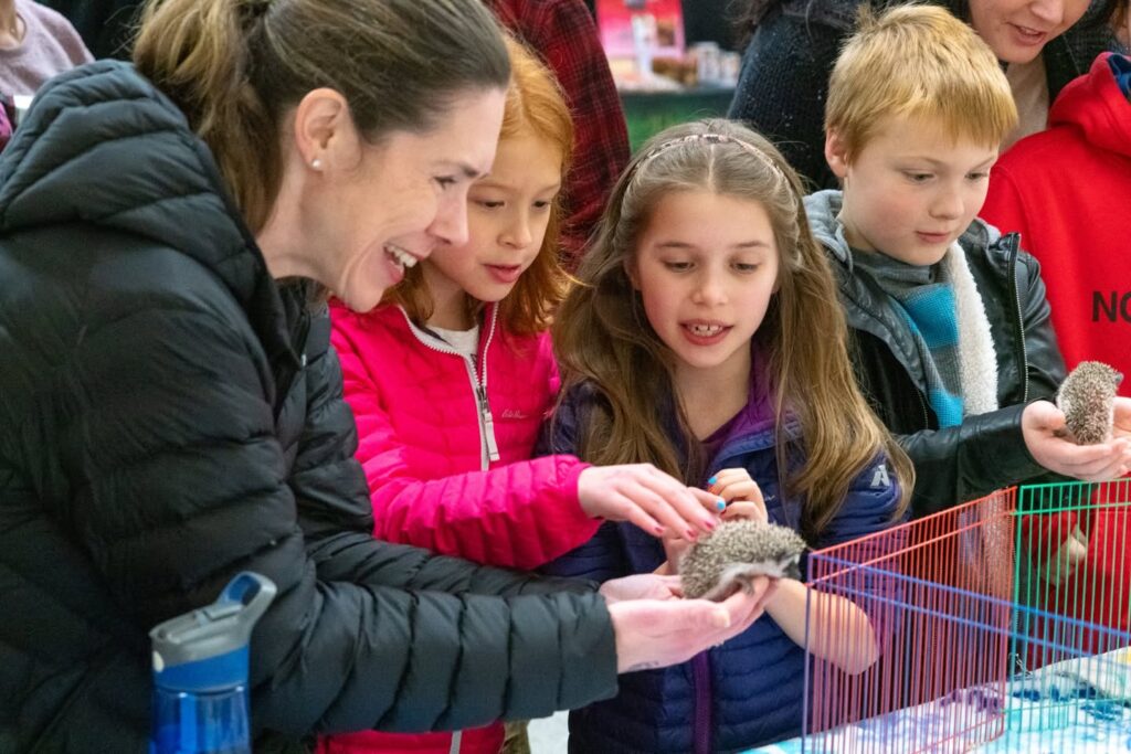Children hold hedgehogs while a woman smiles, participating in an animal interaction event.