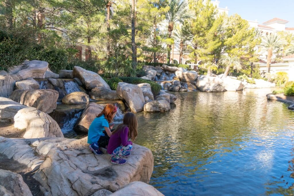 Two people relaxing on large rocks beside a scenic resort pool surrounded by palm trees and a natural waterfall feature.