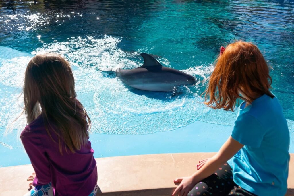 Two children sit by a bright blue pool observing an orca swimming in the water. Close-up details include the back of their heads and the dolphin's dorsal fin.