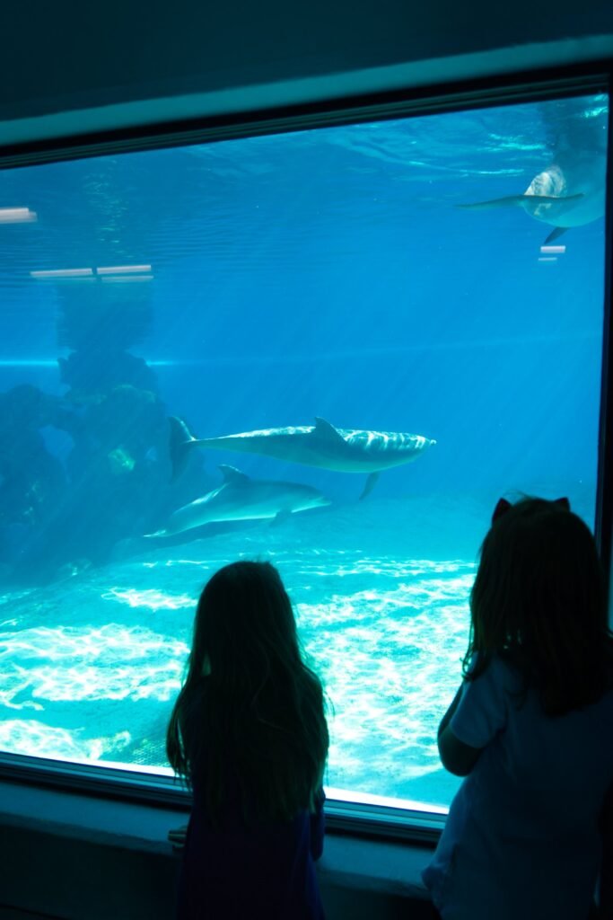A person watching fish swim in an aquarium, with a bright blue background and a fish swimming near the water's surface.