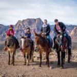 A group of people riding donkeys along a rocky trail with a backdrop of rugged mountains and desert terrain.