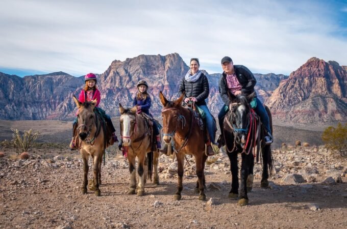 A group of people riding donkeys along a rocky trail with a backdrop of rugged mountains and desert terrain.