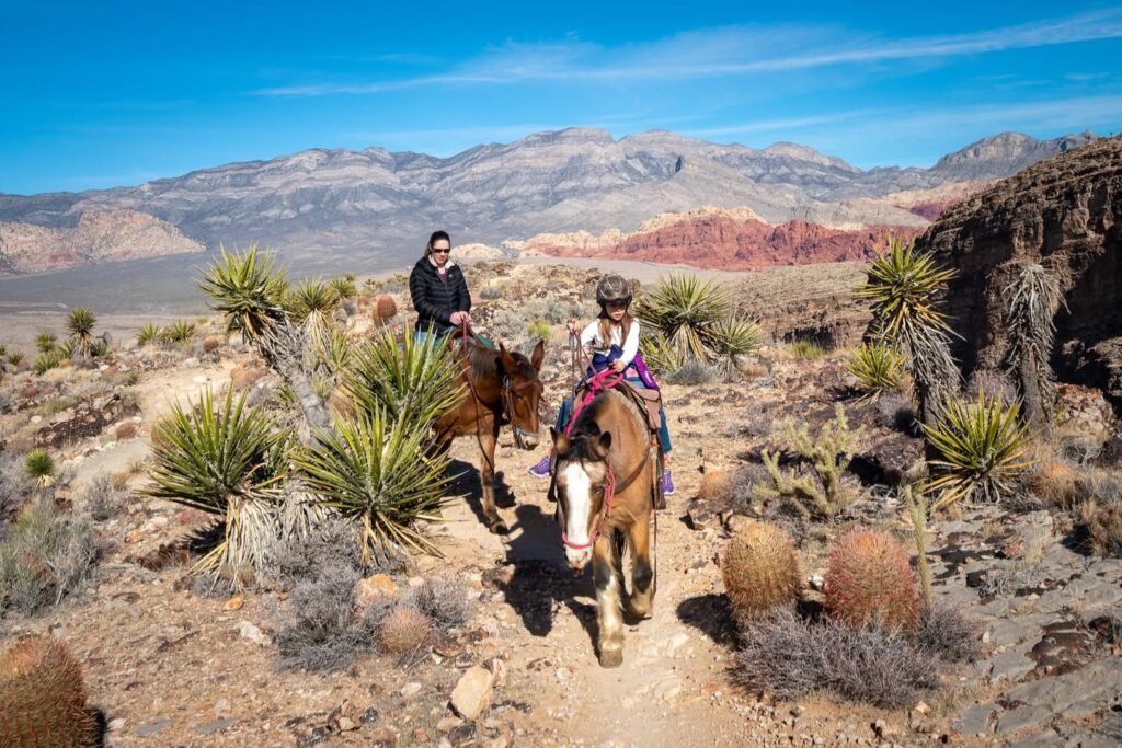 A family enjoying horseback riding on a sandy trail in a desert landscape with yucca plants and distant mountains under a bright blue sky.