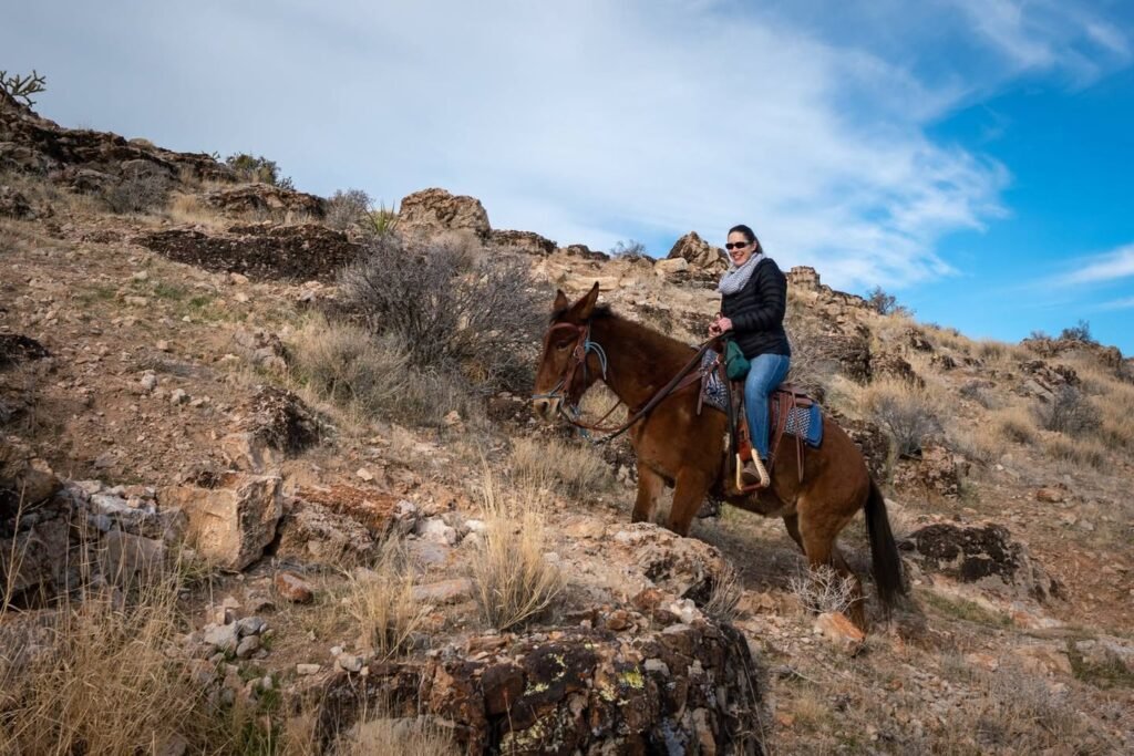 A person riding a brown horse along a dry, rocky hillside under a bright blue sky. Multiple views of a desert landscape with sparse vegetation and rugged formations.