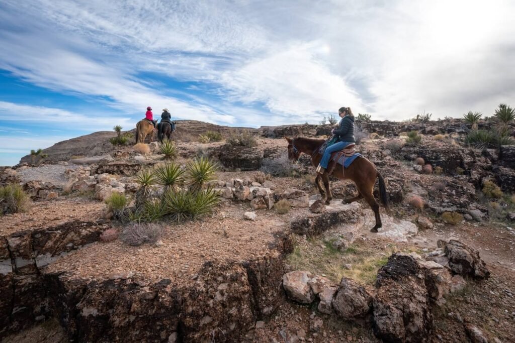 A person rides a horse through a rugged desert landscape with rocky terrain and a vast, cloudy sky.