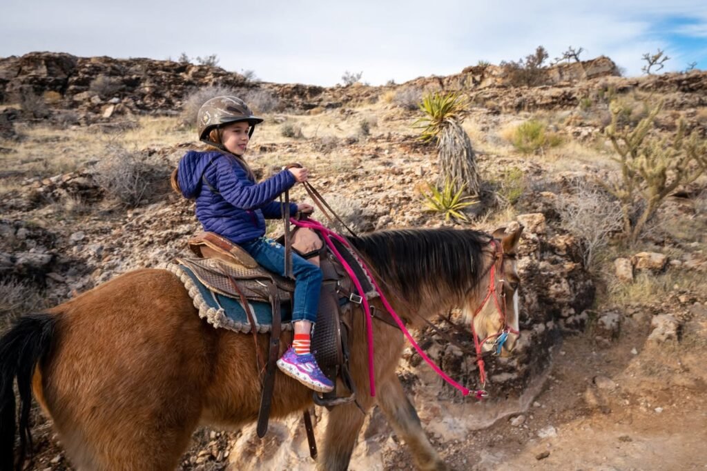A rider on a horse navigating through arid, rocky terrain dotted with yucca plants and distant hills.