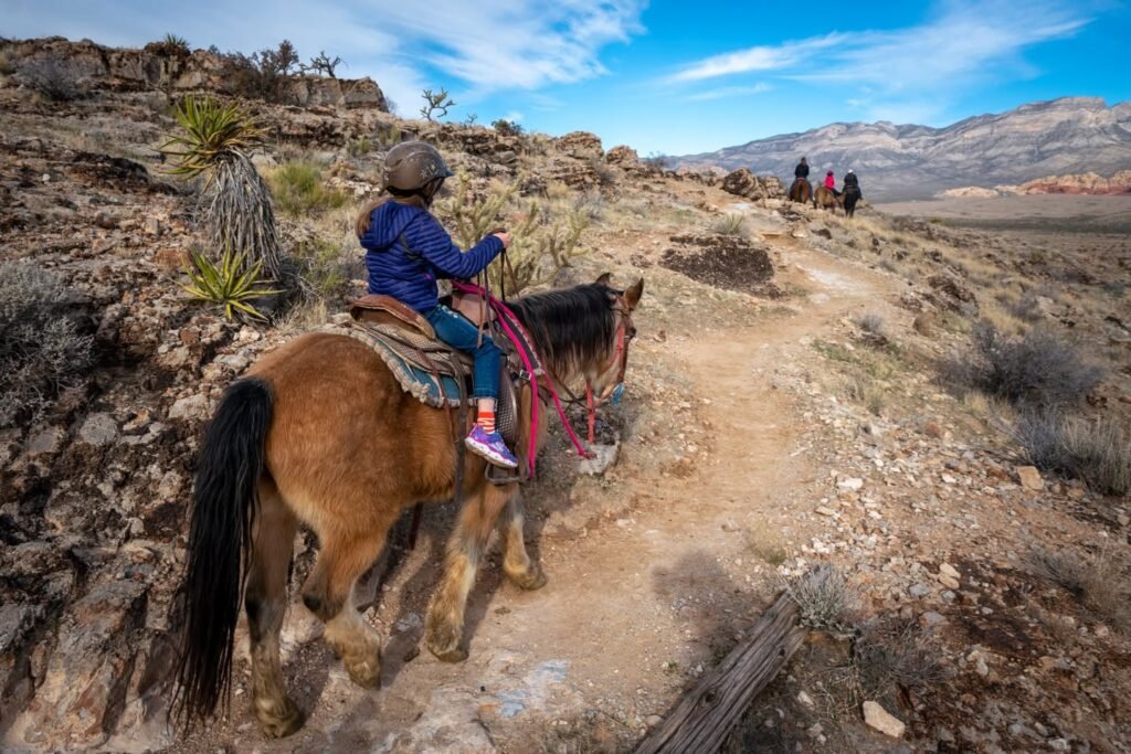 A group taking a scenic horseback ride down a desert trail in the American Southwest. The dry landscape features rocky terrain, some cacti, and distant mountains under a partly cloudy blue sky.