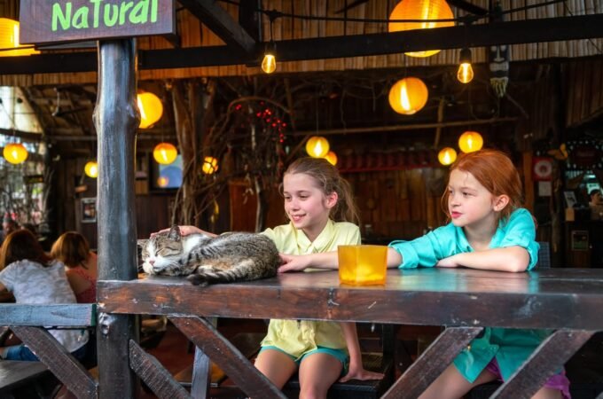 A curious cat lounges on a wooden table while two children observe at the Natural Market.