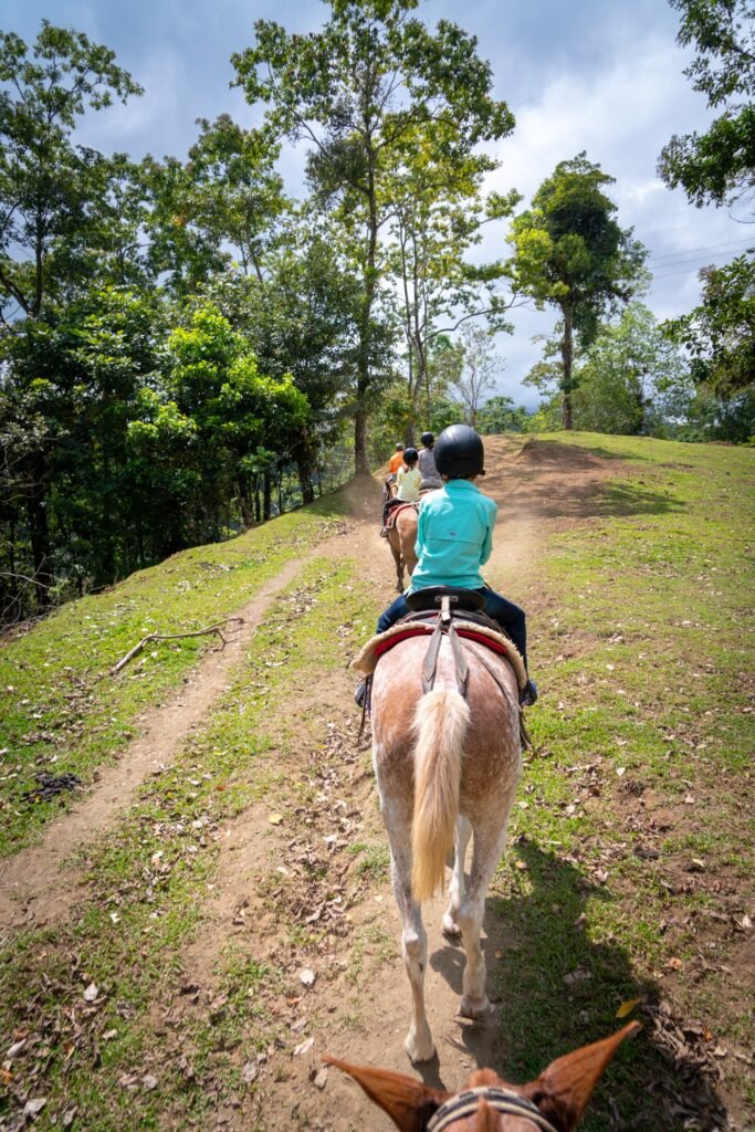 A view from horseback follows riders along a grassy trail through dense tropical forest, with tall trees reaching toward a bright sky.