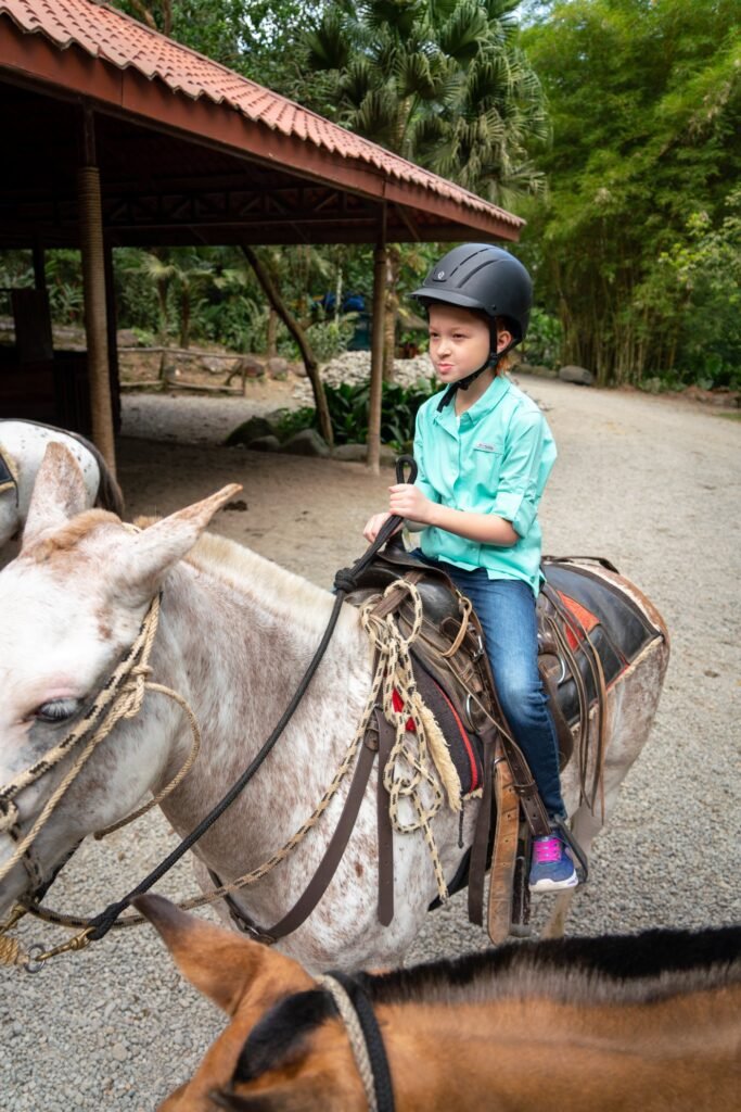 A child wearing a helmet and teal shirt sits on a light-colored horse in a fenced area with dense green foliage and a rustic shelter in background.