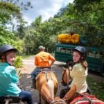 Bogarin Trail Riders on horseback navigate a forest path with a loaded truck and vibrant greenery.