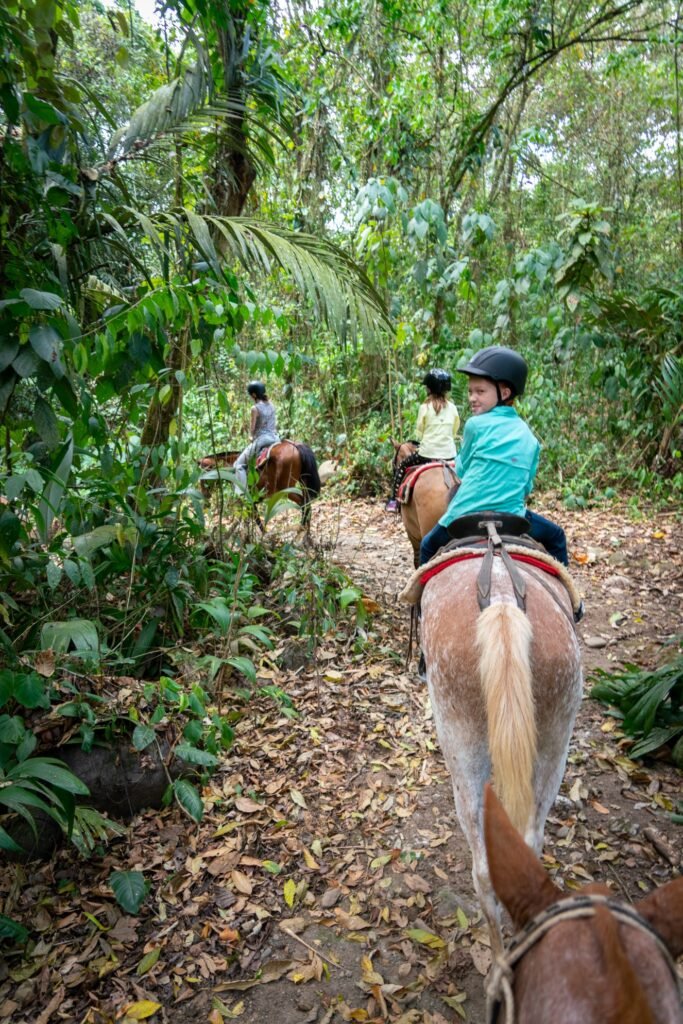 A group of riders on horseback travel along a leaf-covered path surrounded by dense tropical foliage. The trail winds through a vibrant jungle environment with lush greenery.