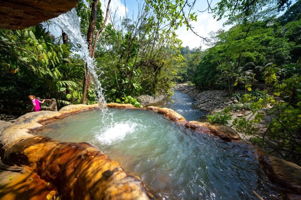Natural Hot Springs in Lush Tropical Woods
