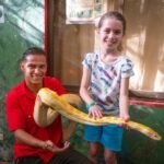 Last Game Two individuals holding a large yellow anaconda at a reptile exhibition in Ecuador. The snake has distinct yellow and orange patterns.