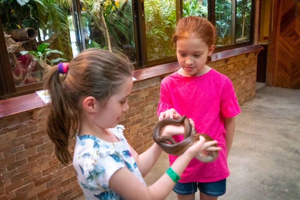 Children interact with a snake at a reptile exhibit, featuring tiled windows and a brick wall in a zoo environment.