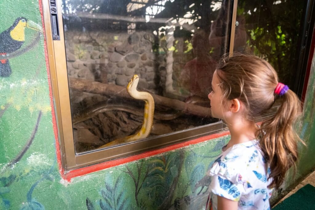 A person views a yellow snake in a glass enclosure with a colorful mural on the wall.