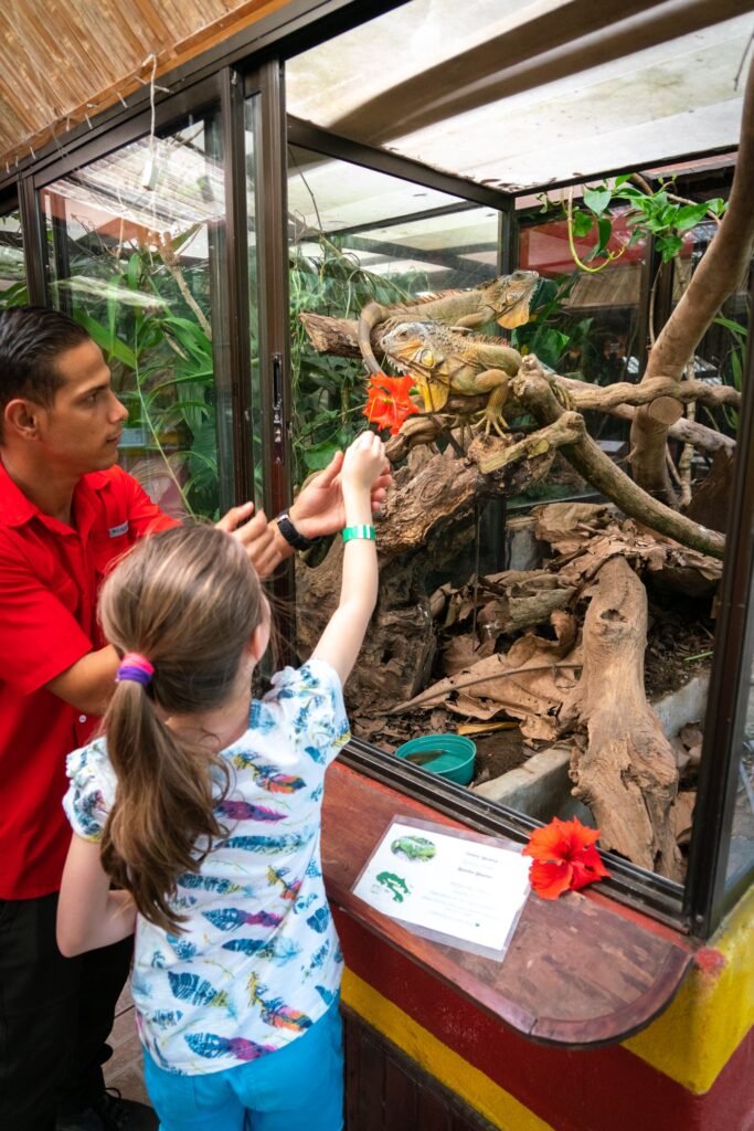 A family feeds nectar to a butterfly inside a glass-walled tropical aviary. Lush green plants and naturalistic branch structures fill the enclosure.