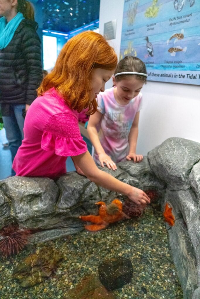 Visitors observe marine creatures in an aquarium with an educational backdrop.