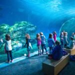 Last Game A group of visitors admiring a large aquarium tank with vibrant underwater scenery from the Pacific Northwest.