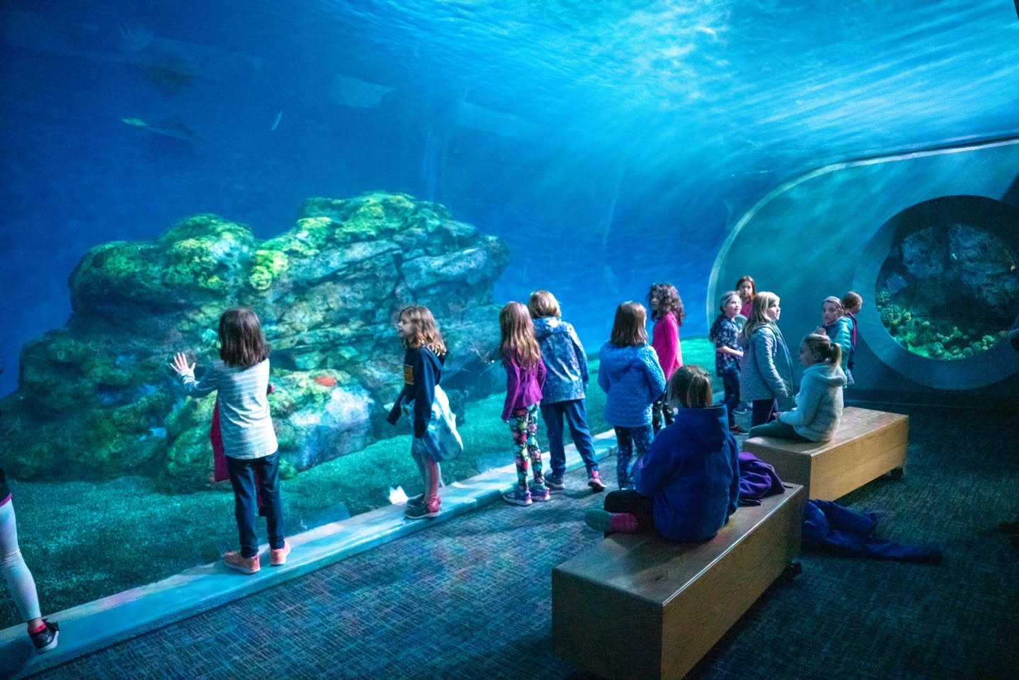 Sleeping with the Fishes A group of visitors admiring a large aquarium tank with vibrant underwater scenery from the Pacific Northwest.