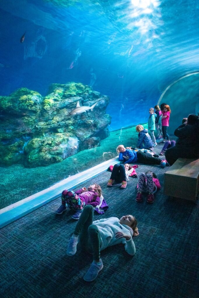 A group of people observing a large aquarium through a glass wall, with one person lying on the floor for a unique perspective.