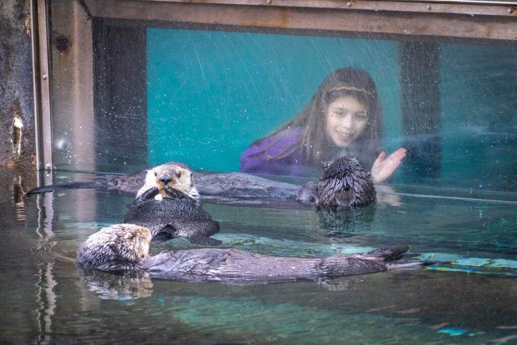 A young person waves at a pair of owls perched on a rock in an enclosure at an aquarium.