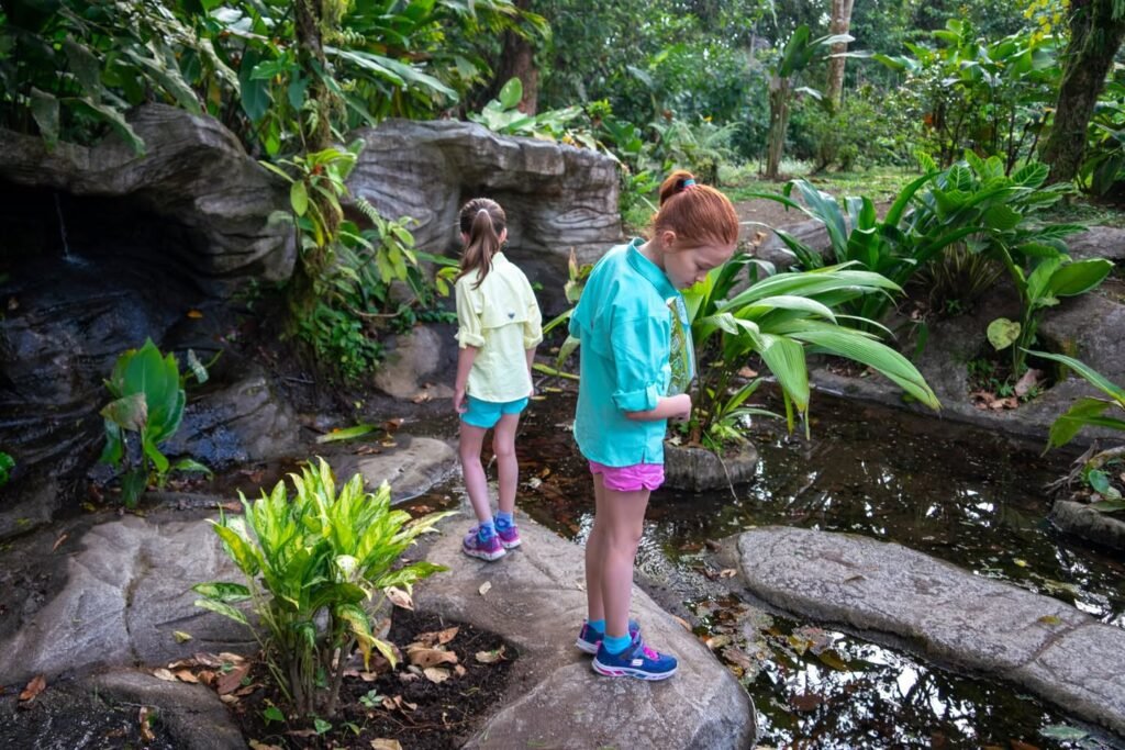 Two children stand on rocks in a lush tropical garden. A close-up of green foliage is also shown.