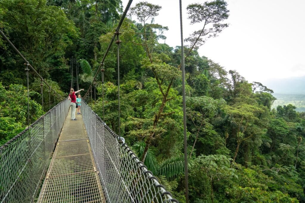 A suspension bridge leads through dense green trees, with visitors walking along its narrow path.