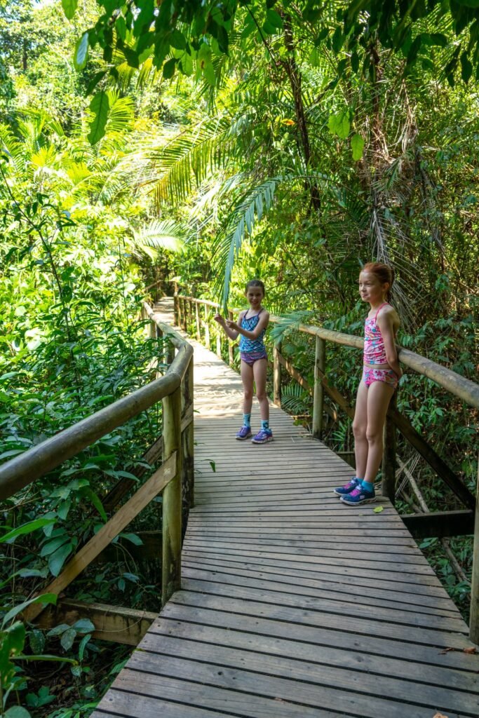 A wooden boardwalk with a couple standing on it, surrounded by lush green vegetation.
