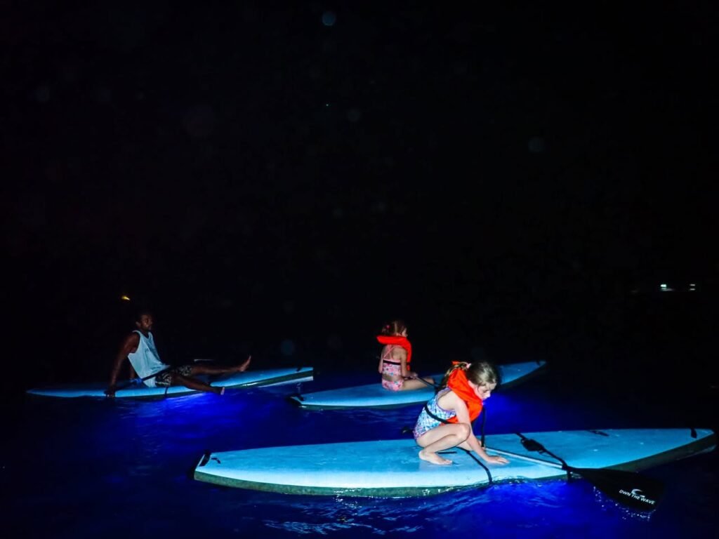 People on illuminated paddleboards at night, with blue glow reflecting on dark water. Adults and children enjoy a unique nighttime water activity.