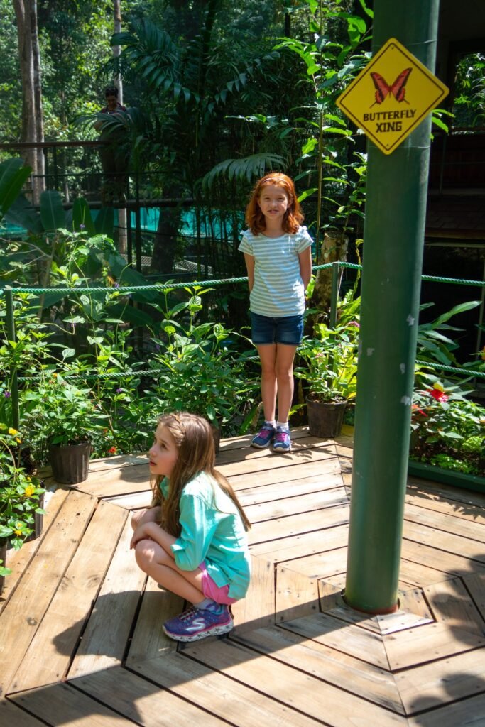 Children exploring a lush garden area under a yellow butterfly zone sign.