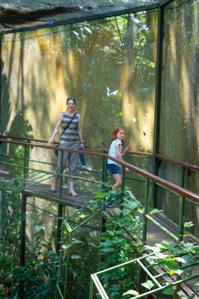 Visitors explore a spacious, enclosed enclosure filled with lush greenery and natural light.