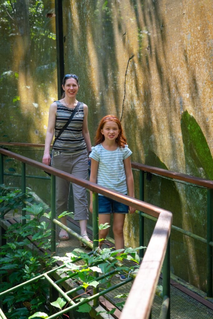 A person and a child walking on a metal-walled pathway in a botanical garden.