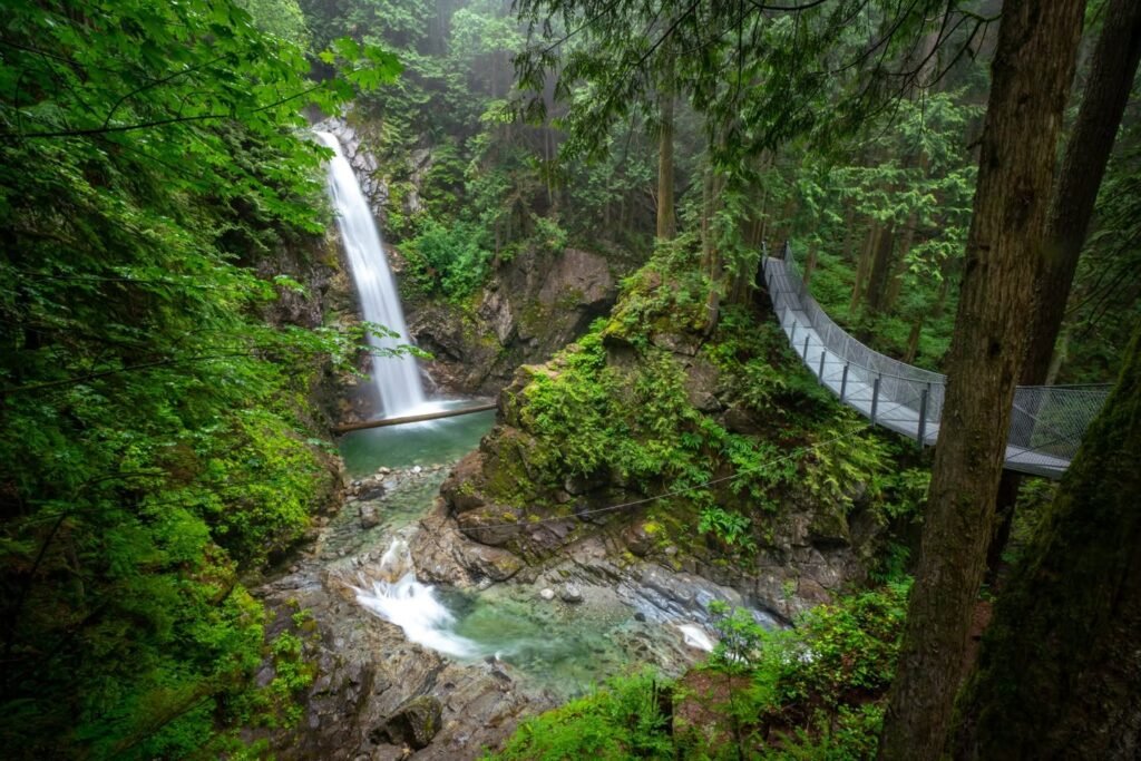 A misty view of a waterfall cascading into a rocky stream in a lush Pacific Northwest forest, with a suspended bridge winding through the trees.