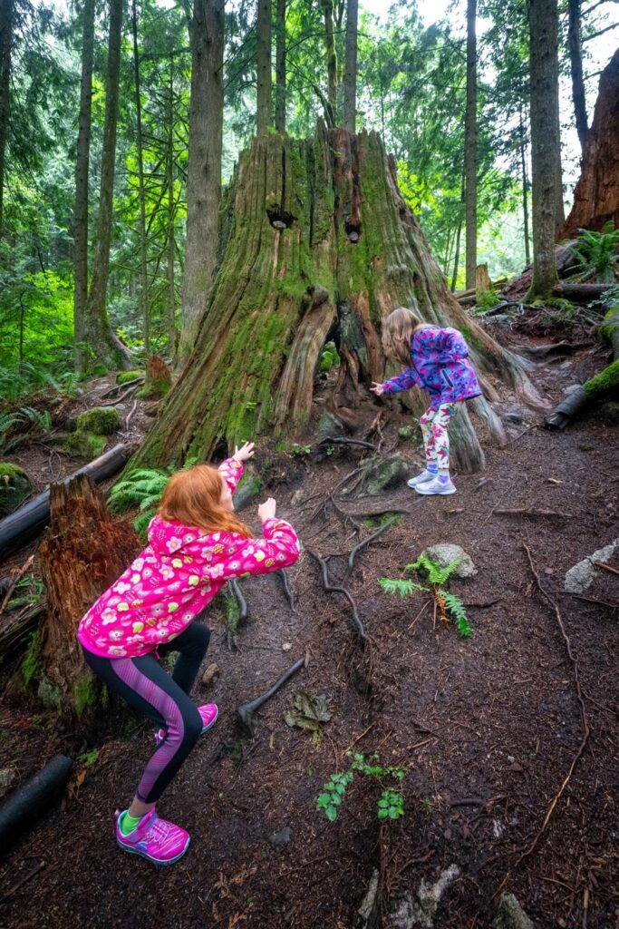 Two children play on a massive old tree stump in a dense Pacific Northwest forest.