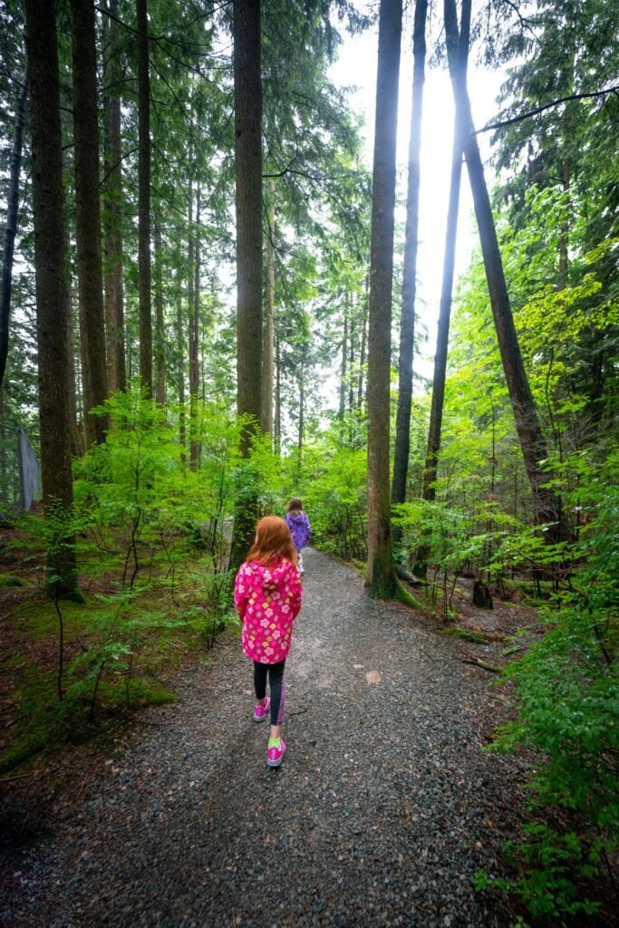 Hikers on a gravel path in a lush, green Pacific Northwest forest with tall trees.